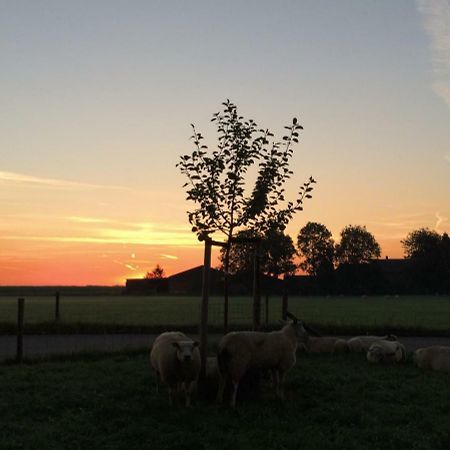 Boerengastenverblijf De Kromme Rijn Cothen Exteriör bild