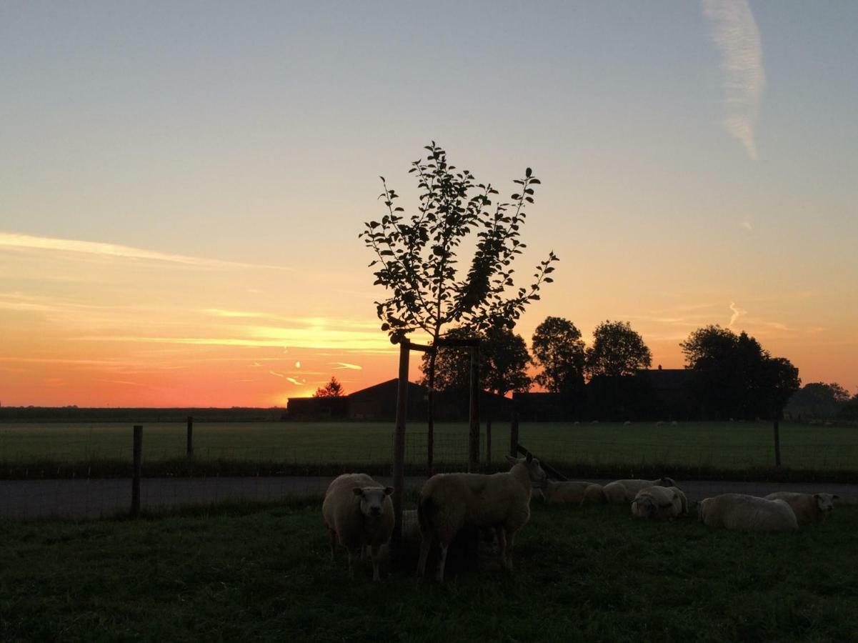 Boerengastenverblijf De Kromme Rijn Cothen Exteriör bild