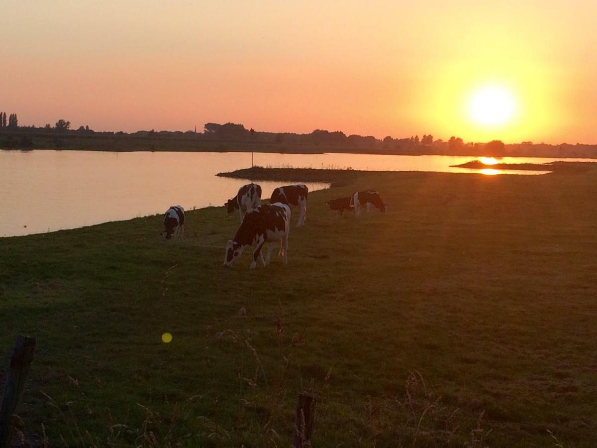 Boerengastenverblijf De Kromme Rijn Cothen Exteriör bild