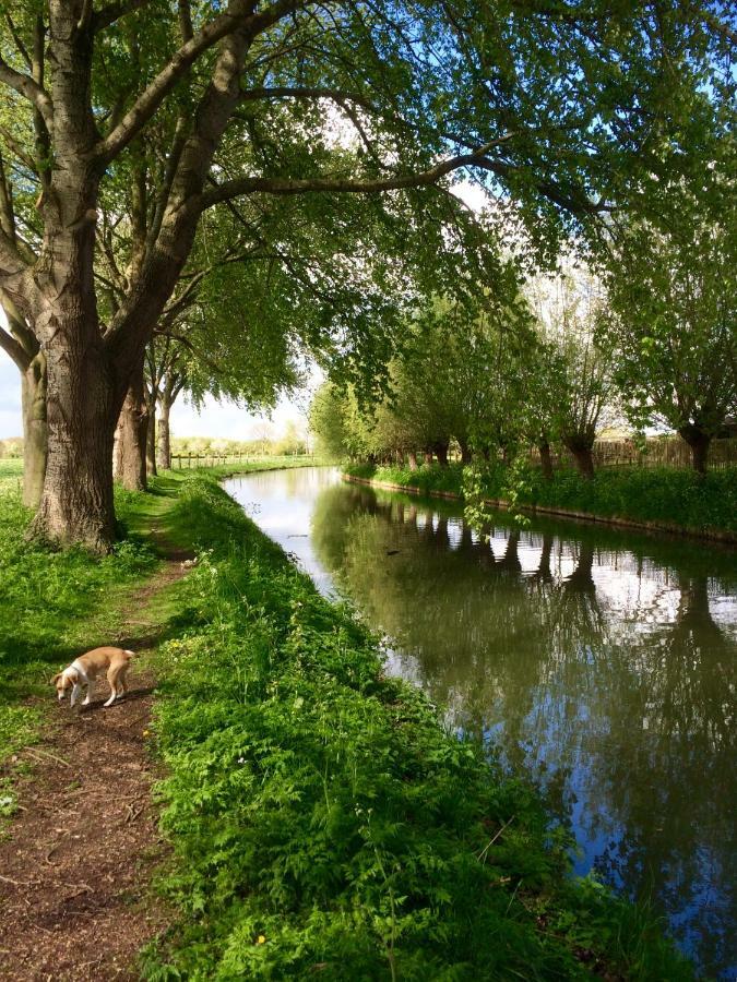 Boerengastenverblijf De Kromme Rijn Cothen Exteriör bild